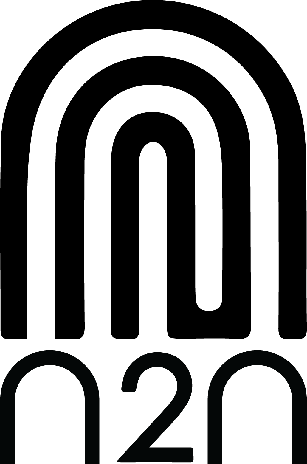 N2N Logo